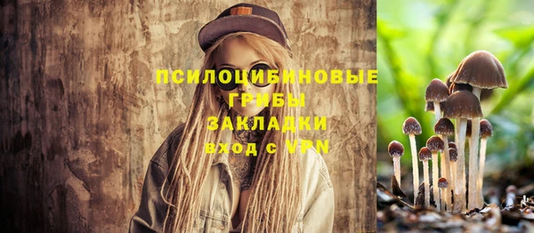 соль курить ск Зеленокумск