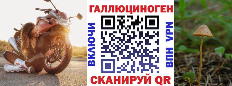 Псилоцибиновые грибы мицелий Купить где Новый Оскол